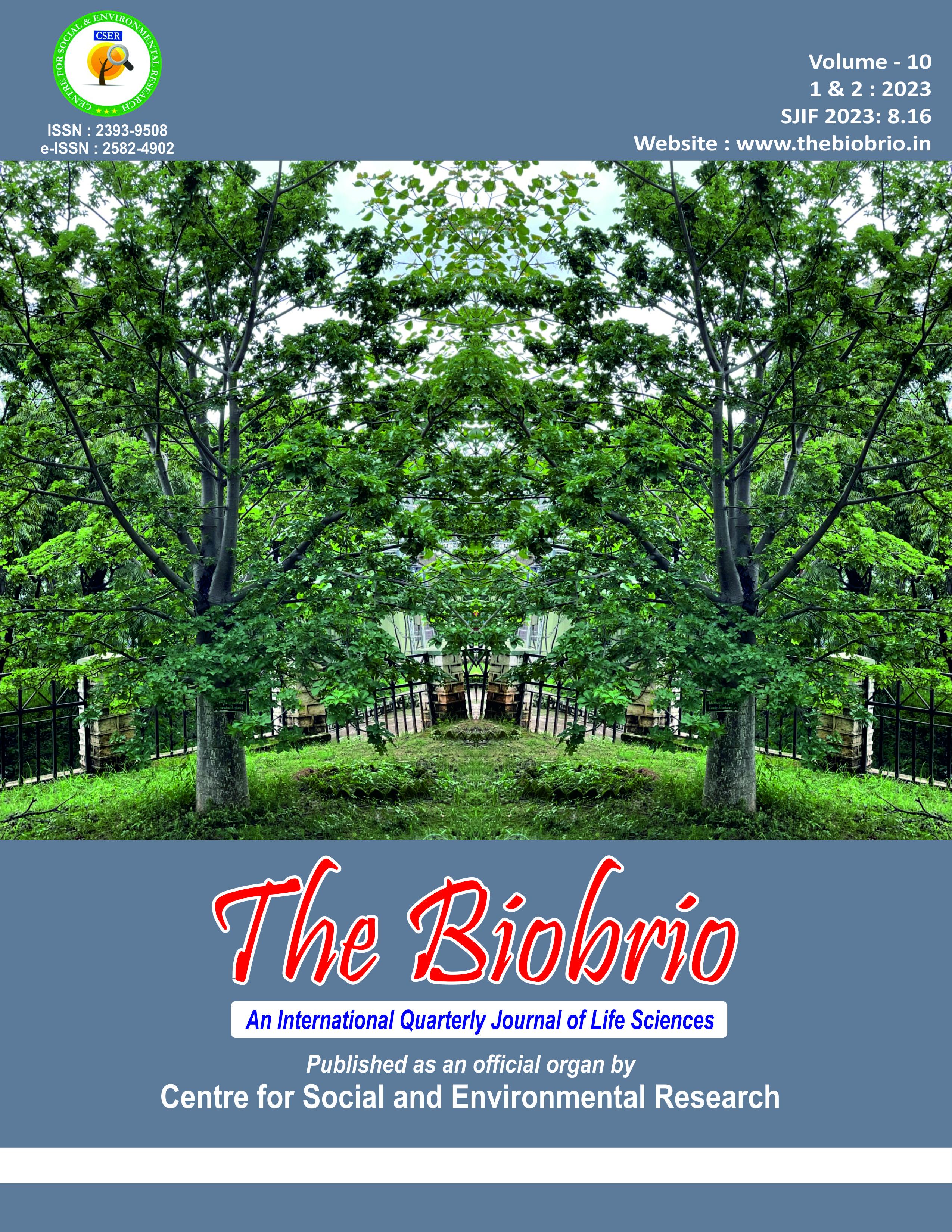 The BioBrio publication