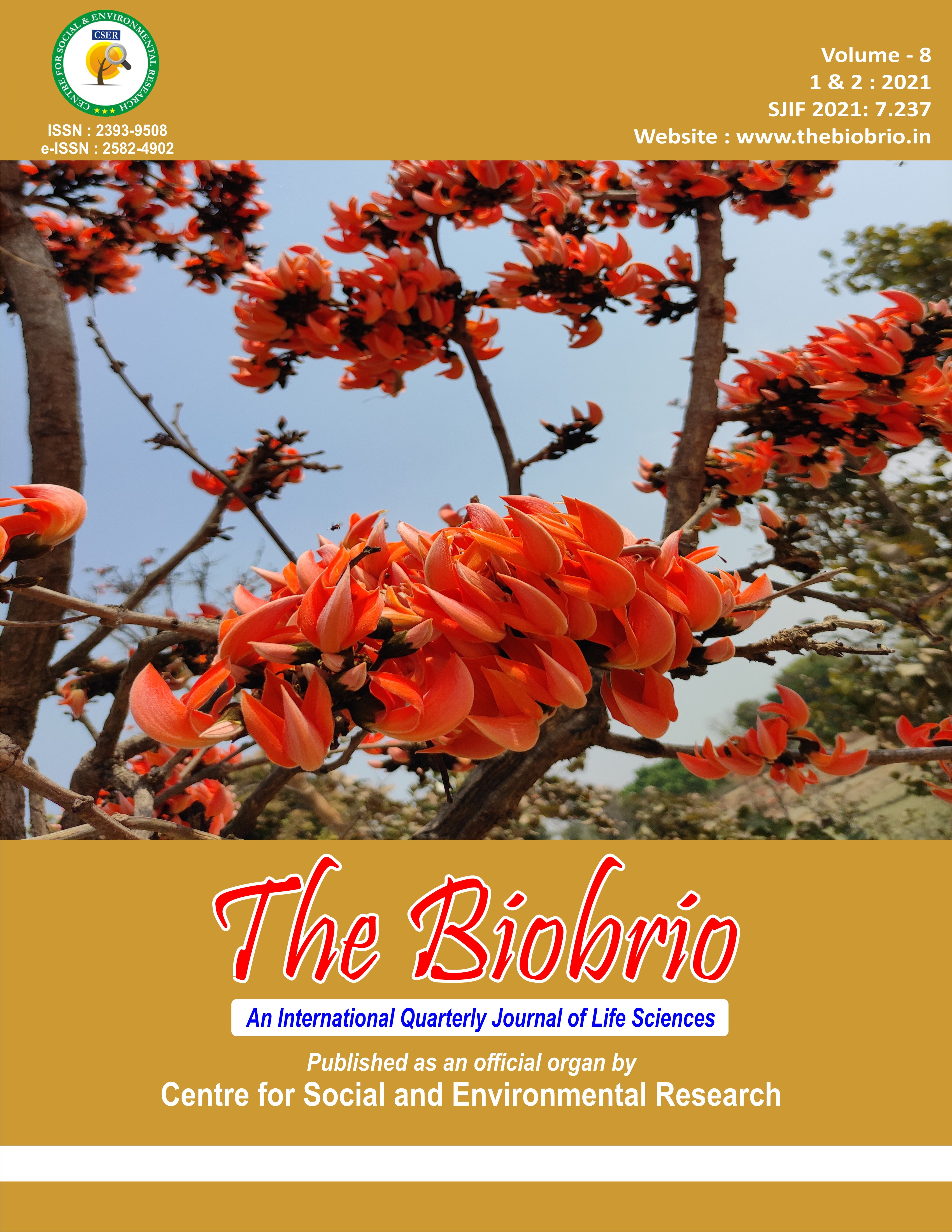 The BioBrio publication